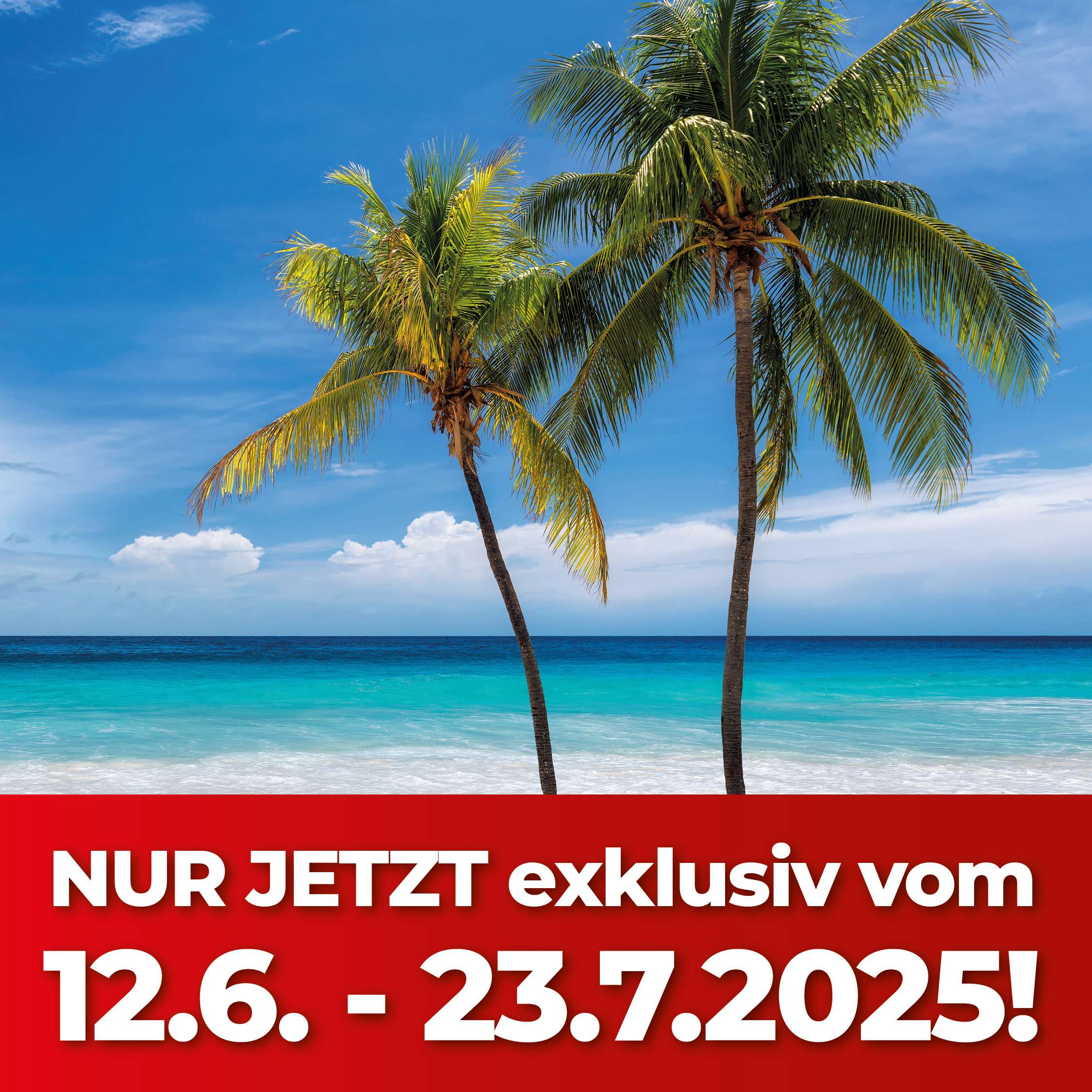 Strandmotiv mit zwei Palmen, türkisblauem Meer und blauem Himmel. Im unteren Bildbereich steht in weiß-rotem Banner: „NUR JETZT exklusiv vom 12.6. – 23.7.2025!